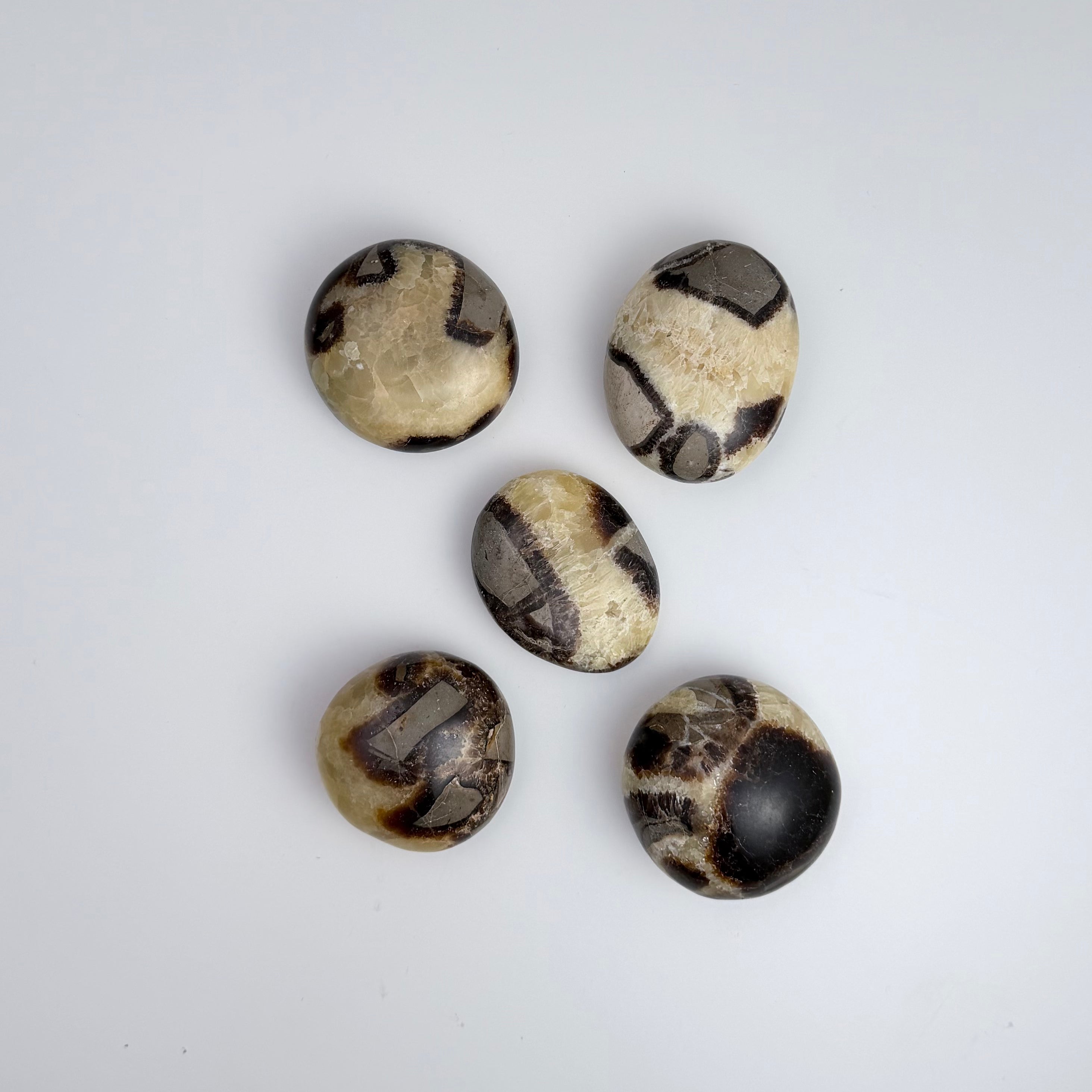 Septarian