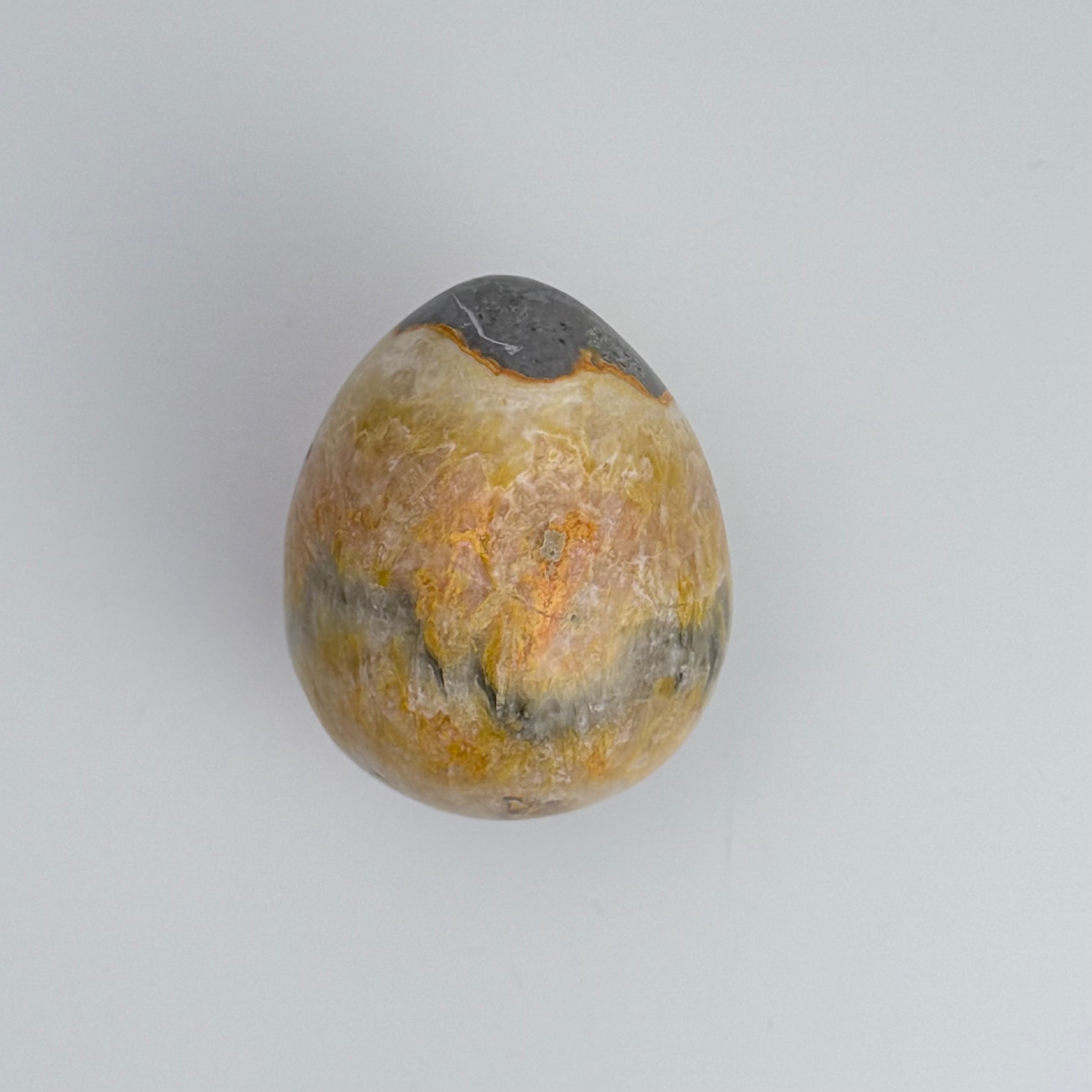 Bumble Bee Jasper
