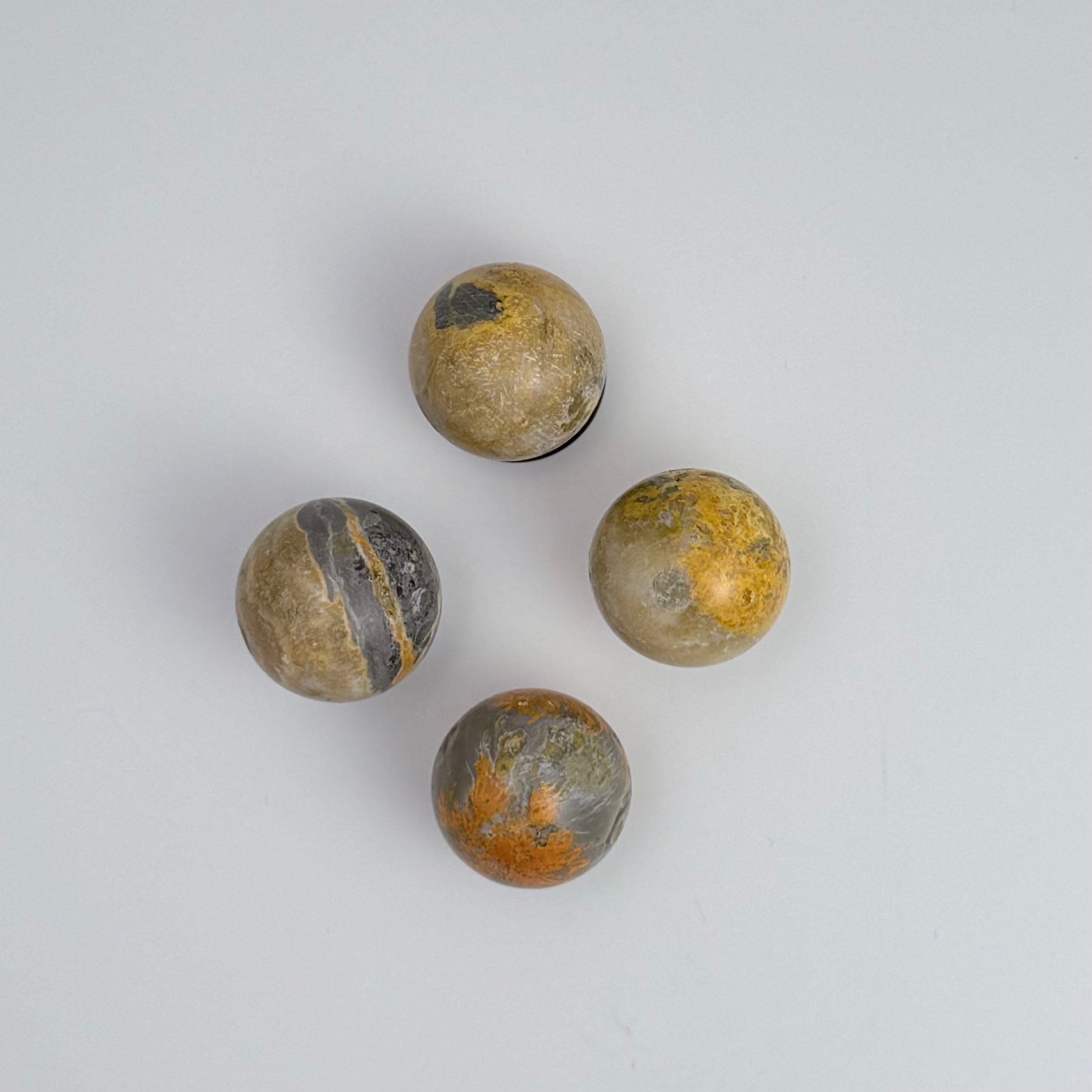 Bumble Bee Jasper