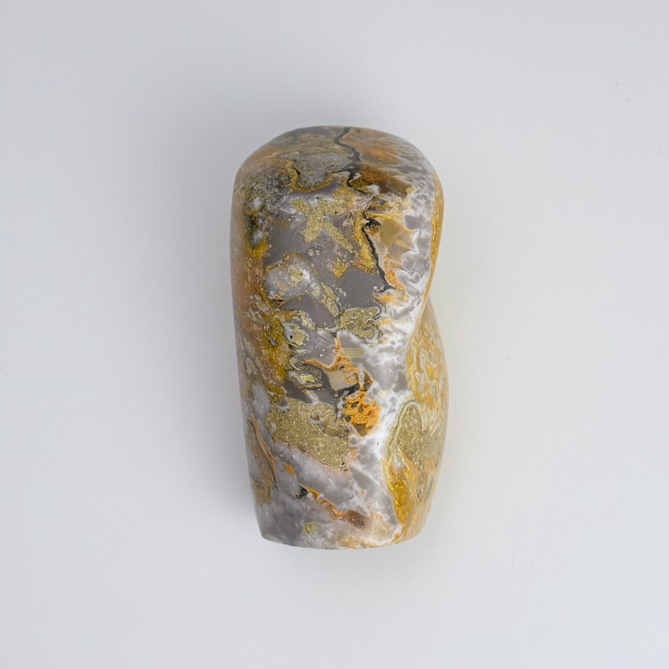 Bumble Bee Jasper