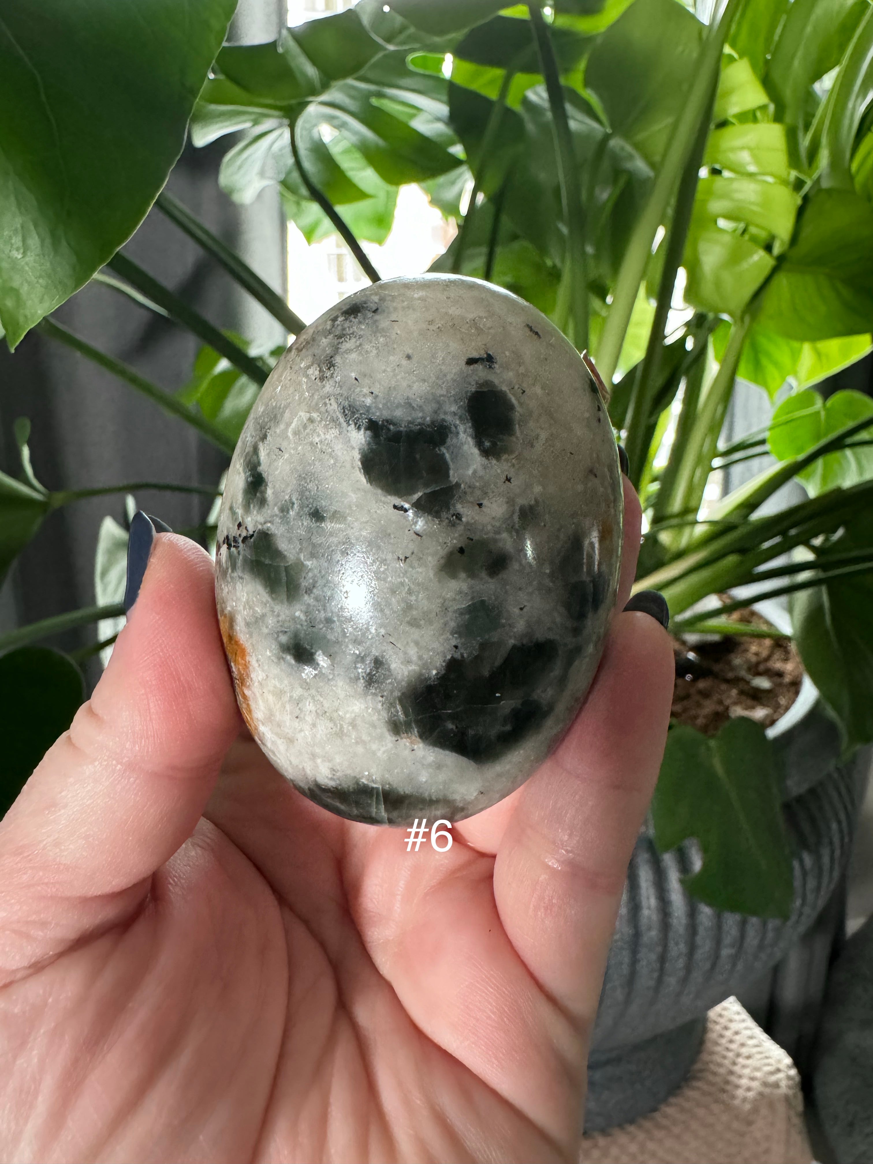 Polarity Moonstone