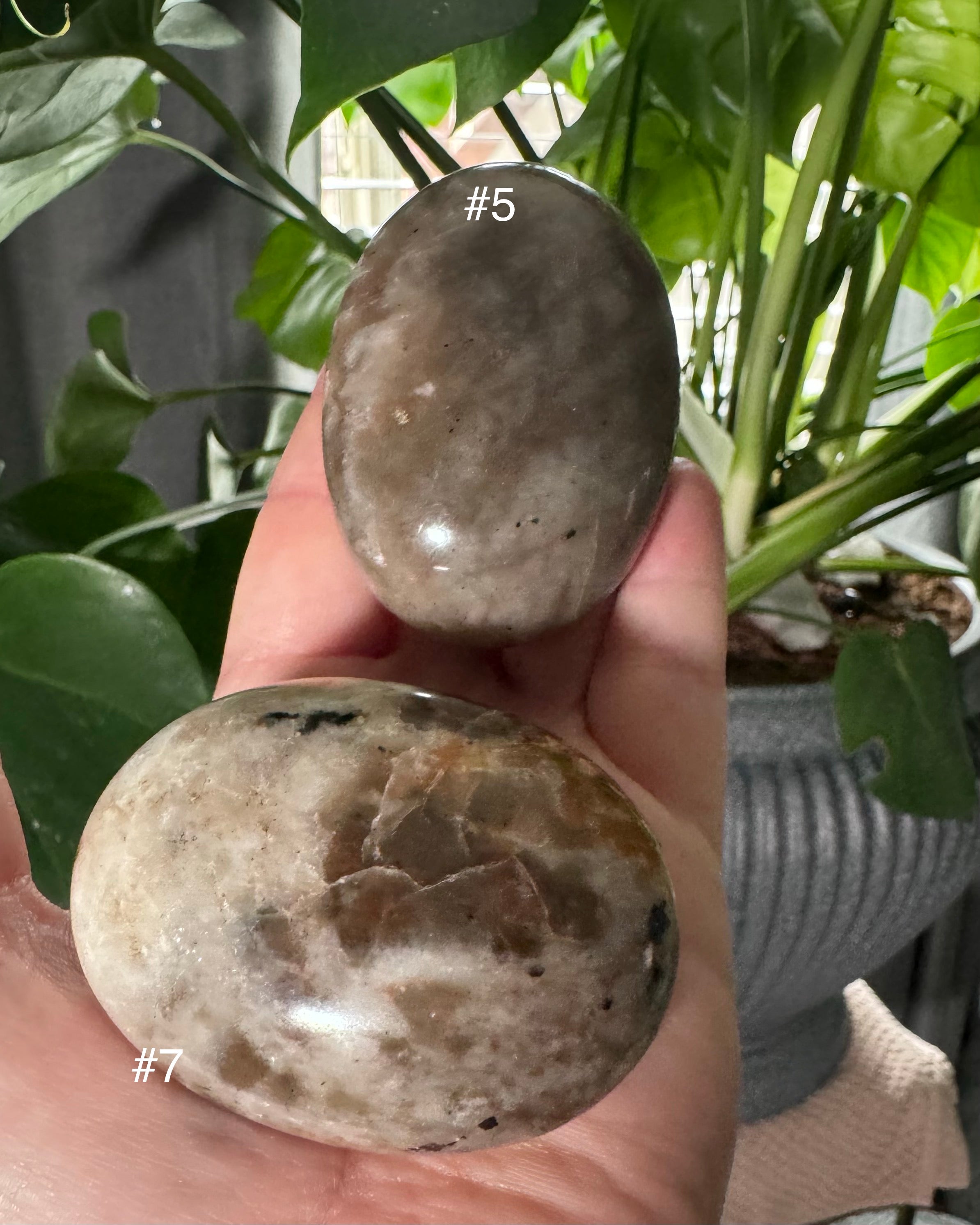 Polarity Moonstone
