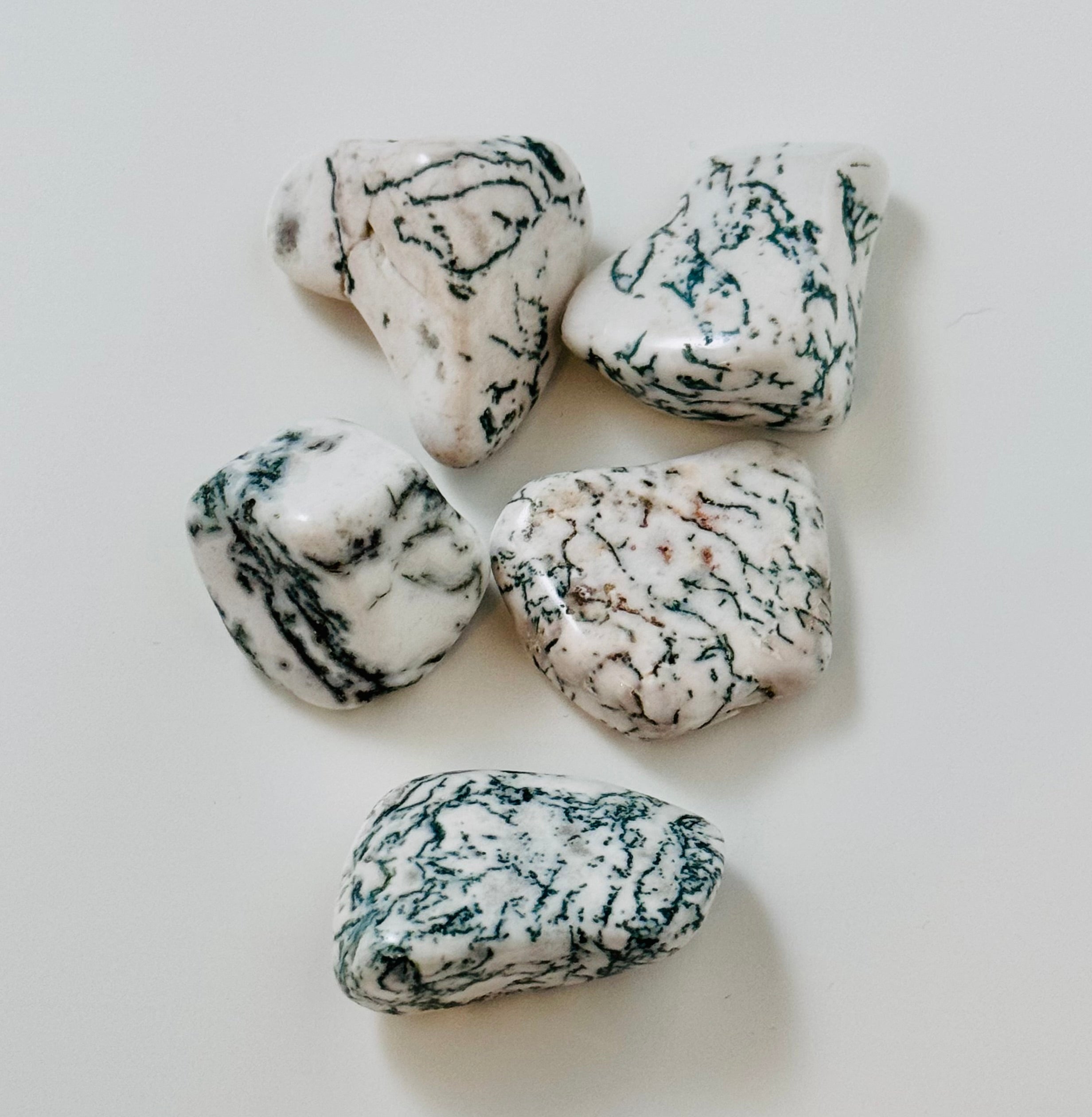 Tree Agate Tumbles