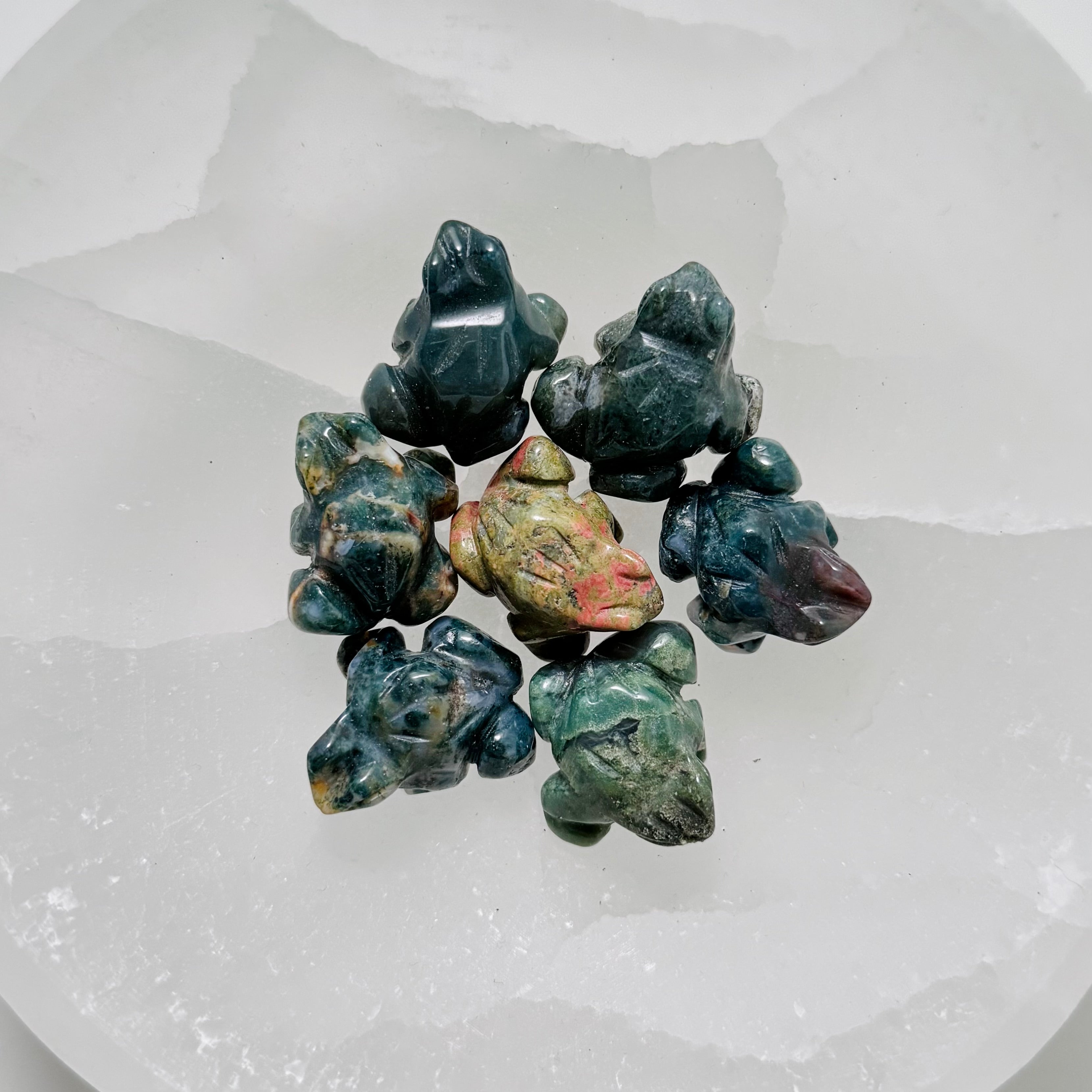 Mini Frogs & Turtles