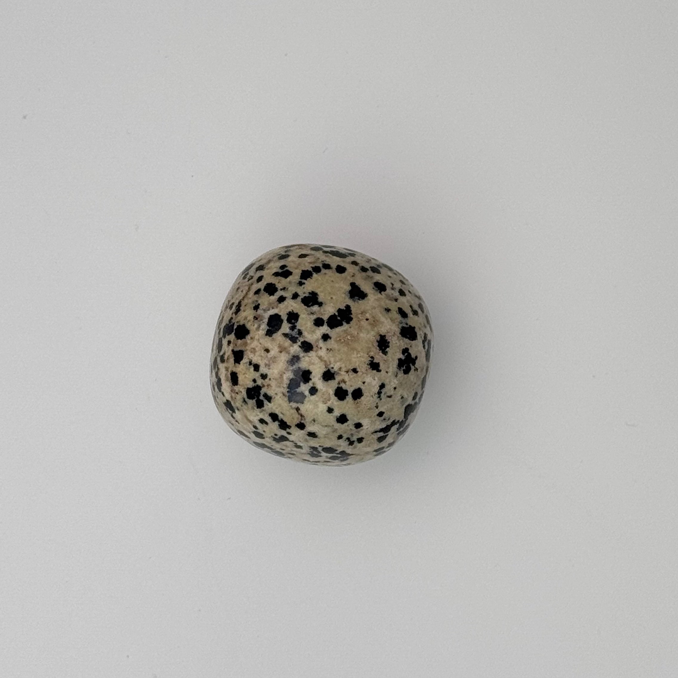 Dalmation Jasper Tumble