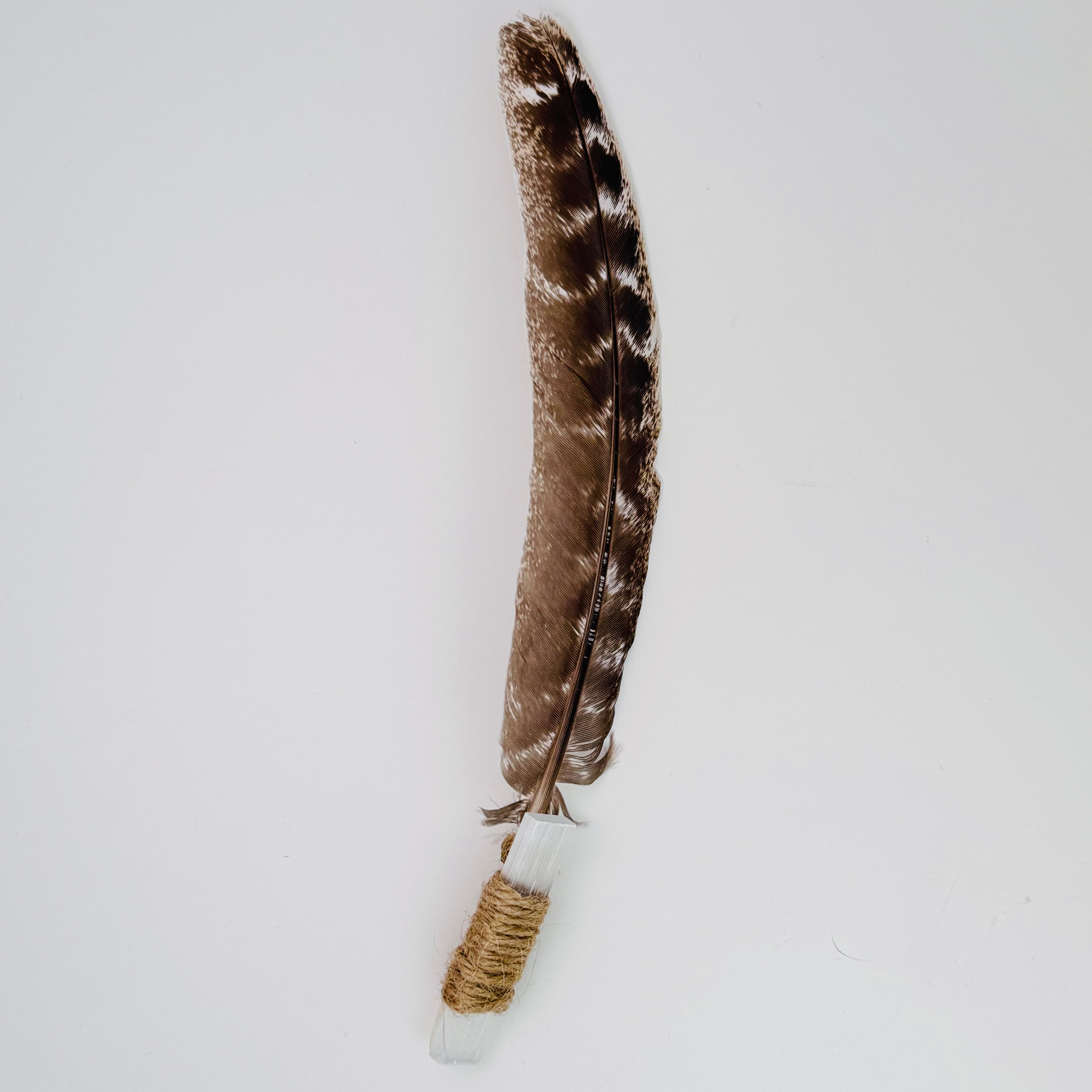 Abalone Shell/Smudging Feather