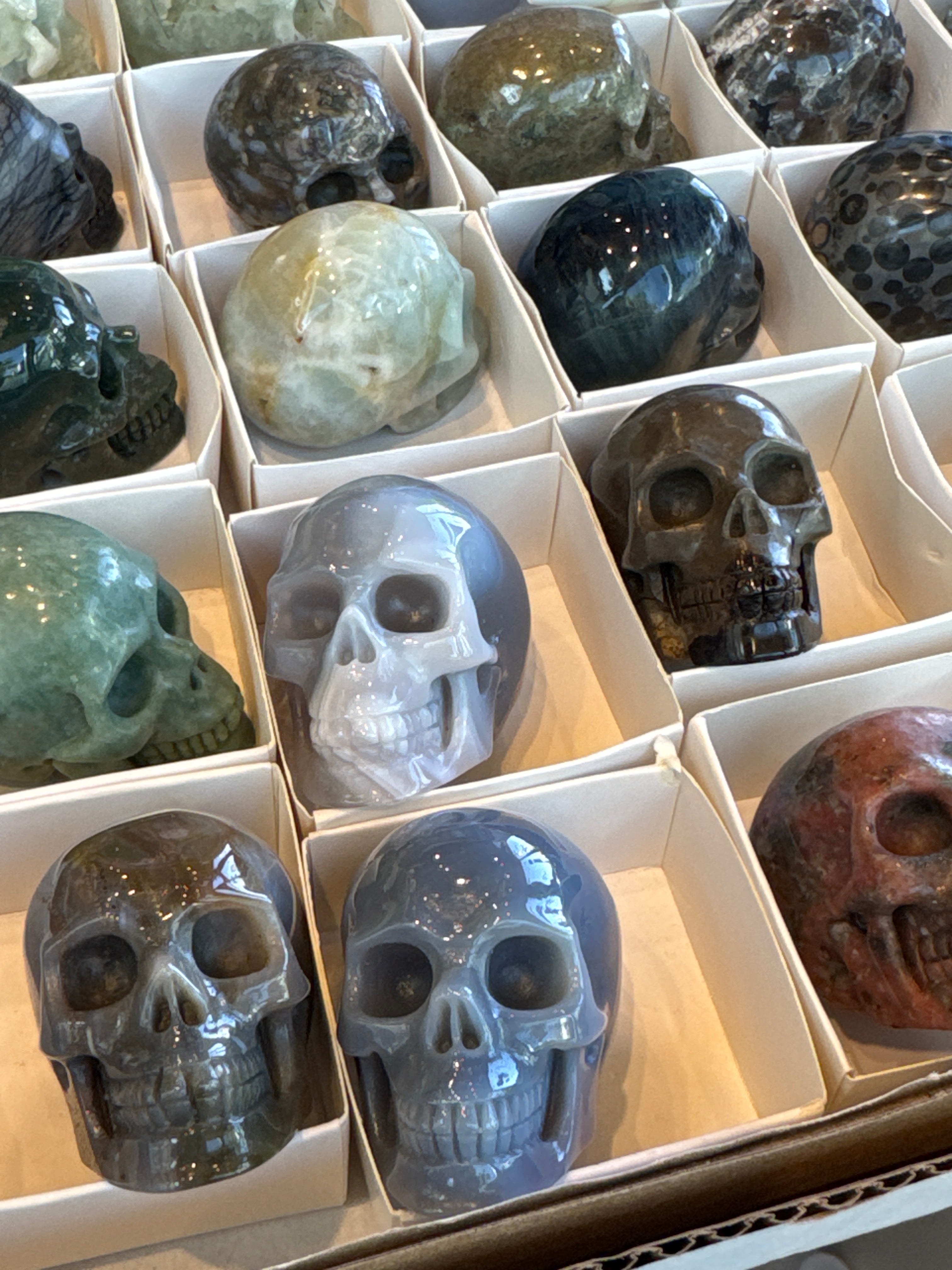 Skulls