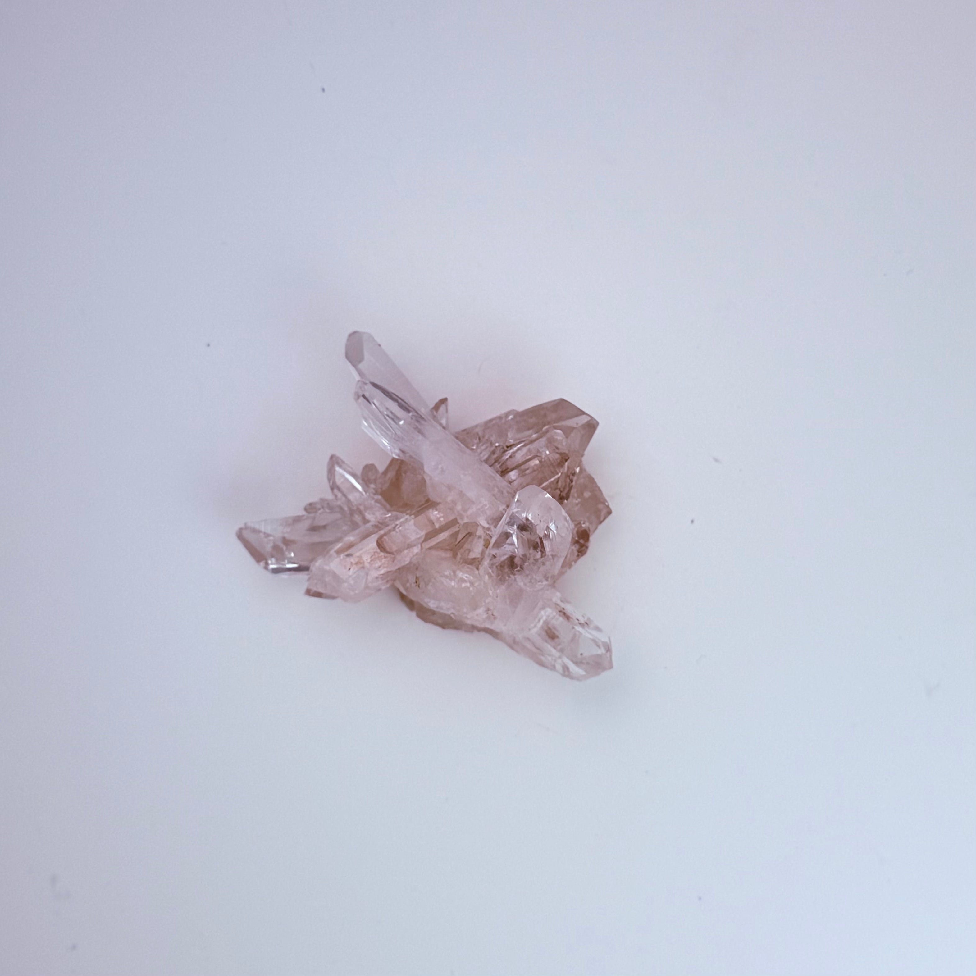 Lemurian Quartz