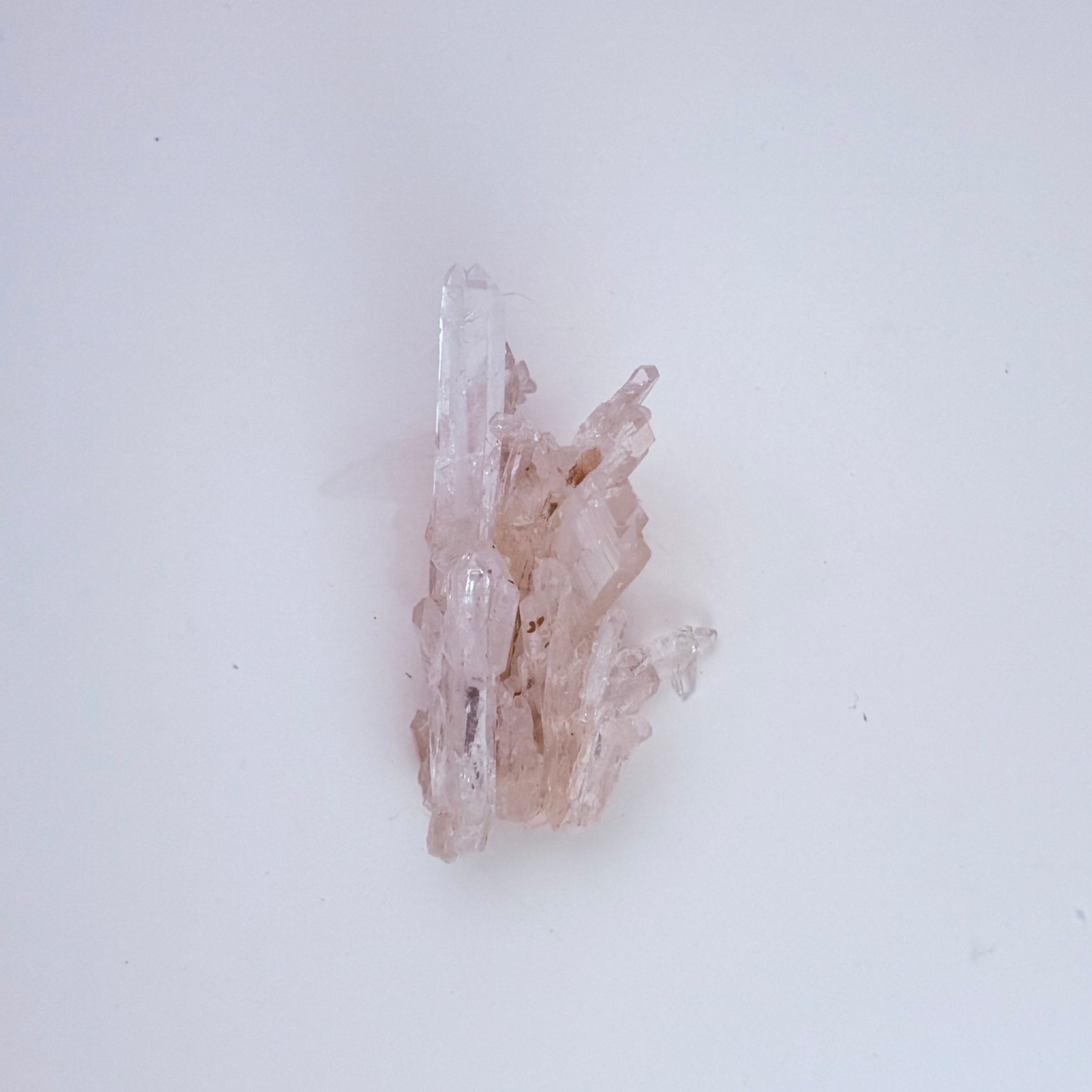 Lemurian Quartz