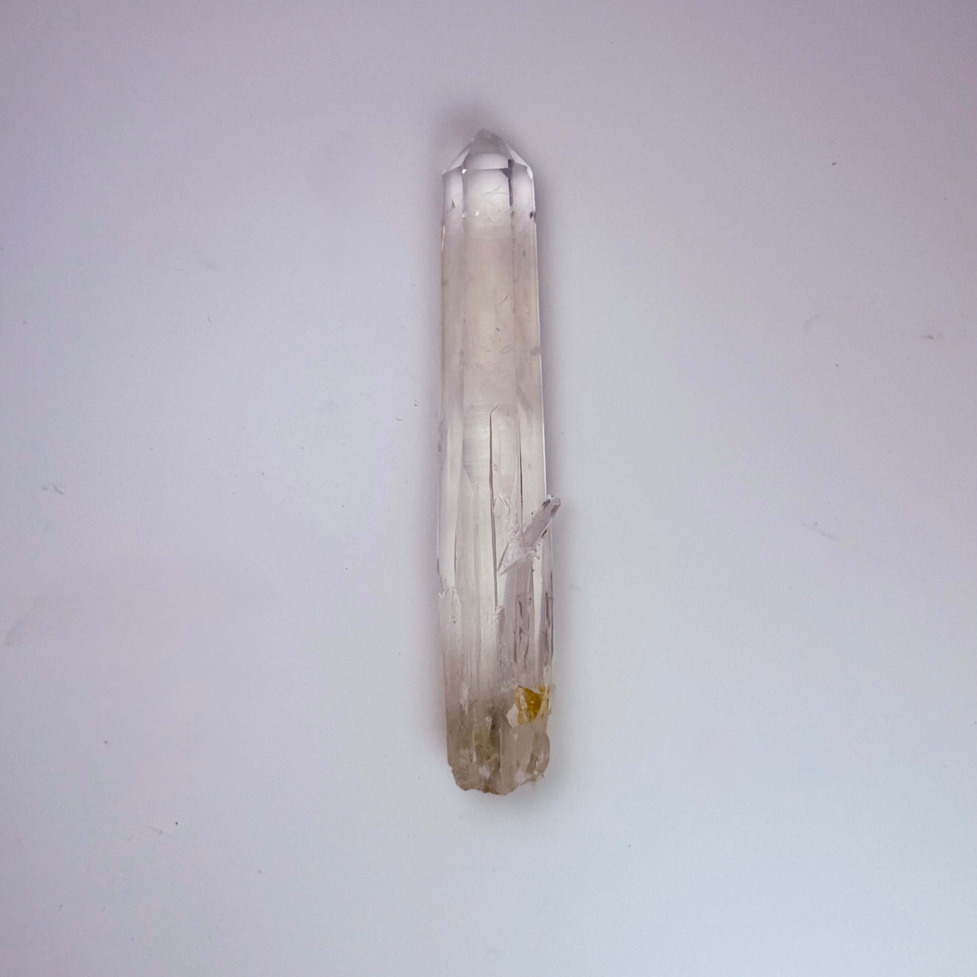 Lemurian - Blue Feather