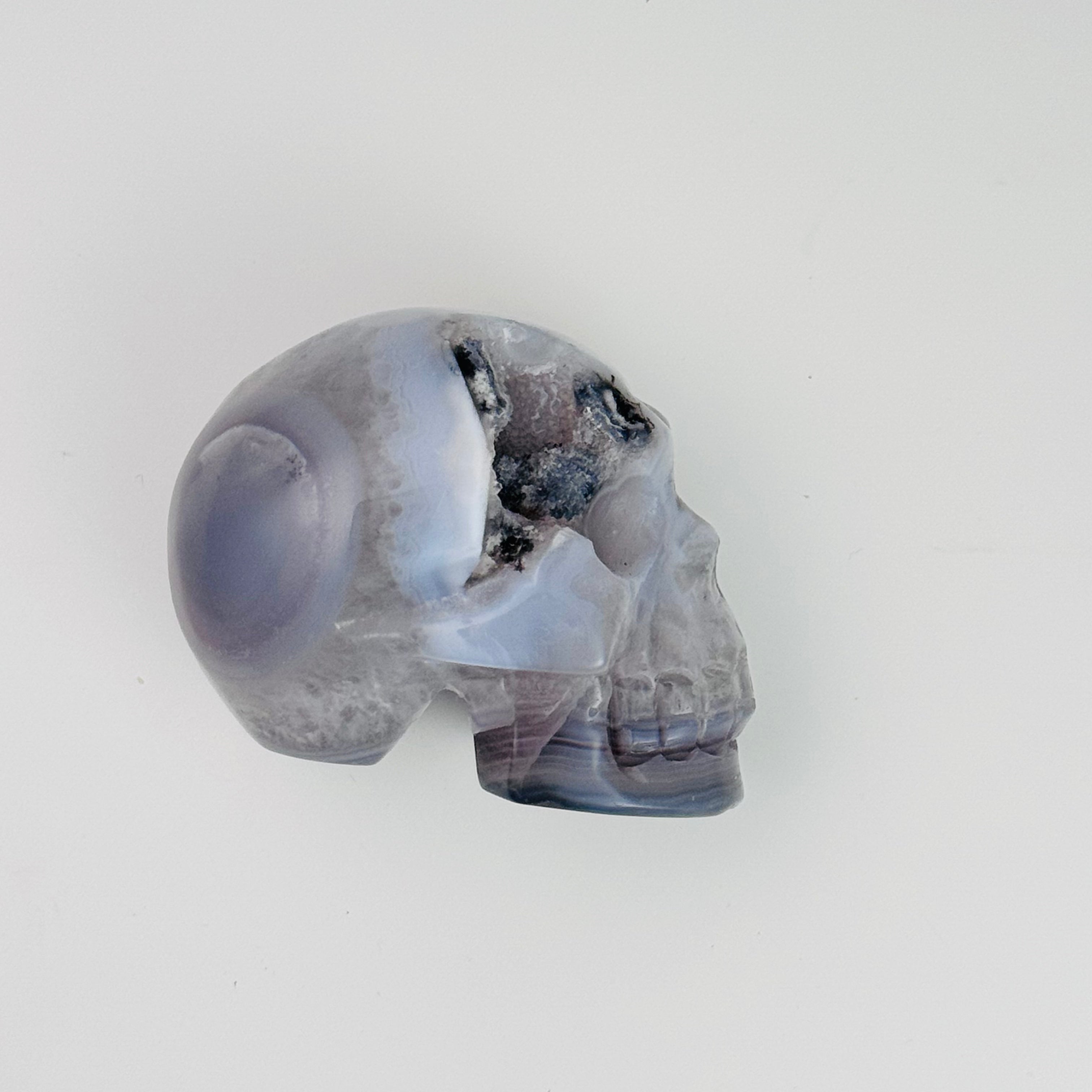Skulls