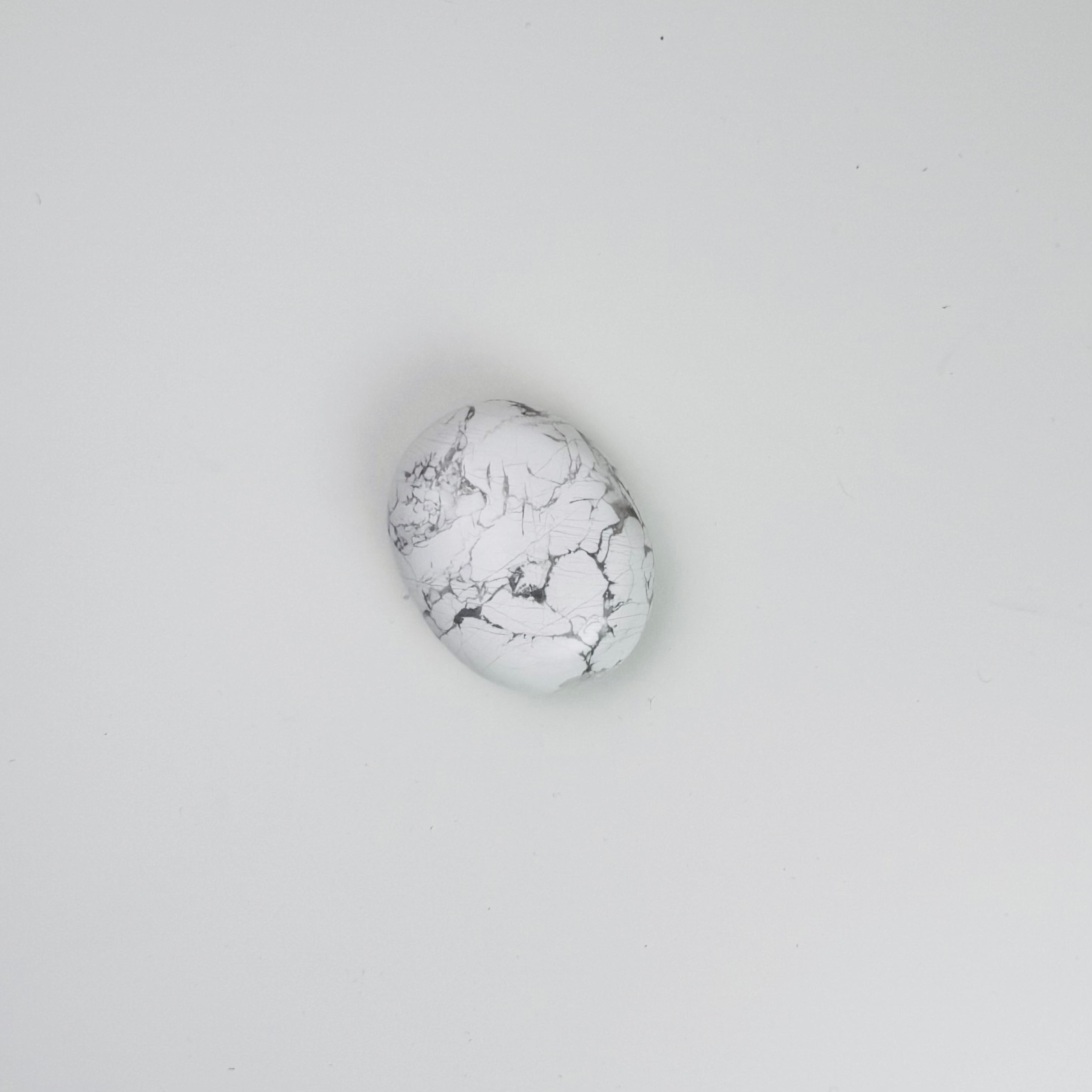 Howlite Palm Stone