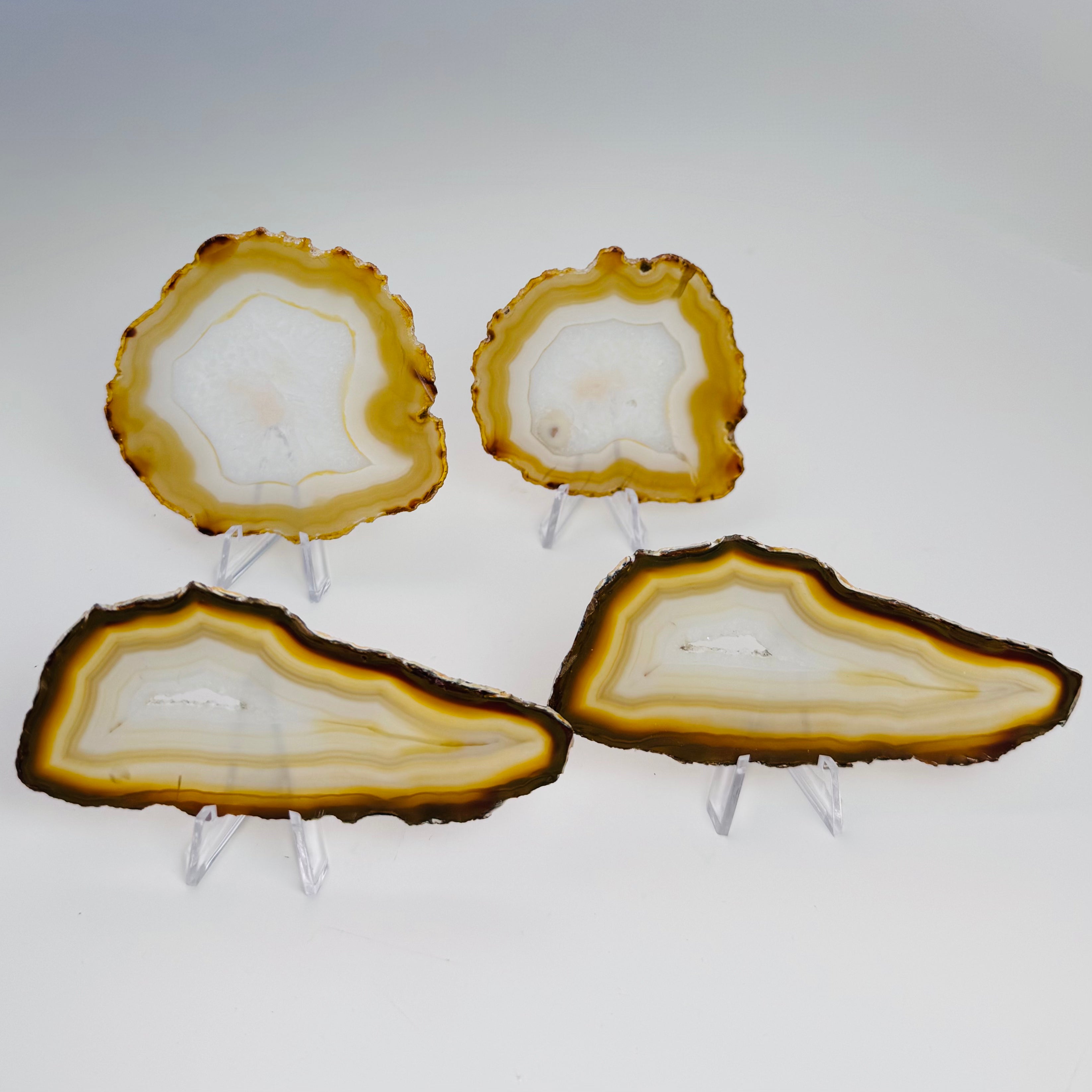 Iris Agate Slice