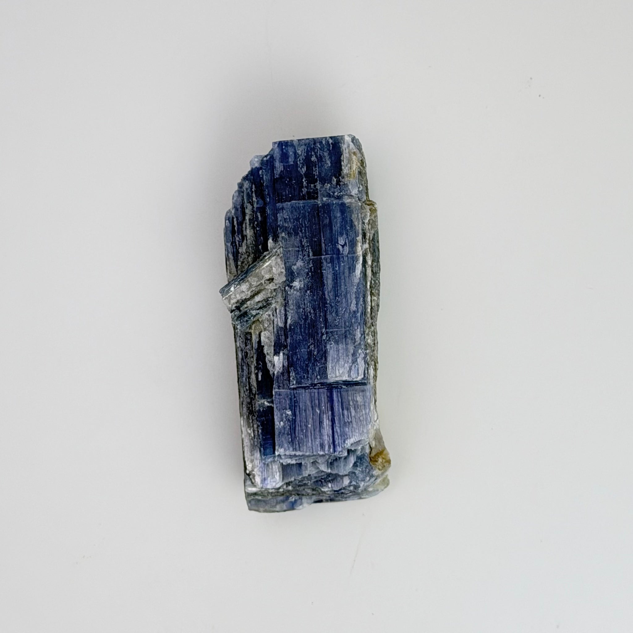 Blue Kyanite w/quartz
