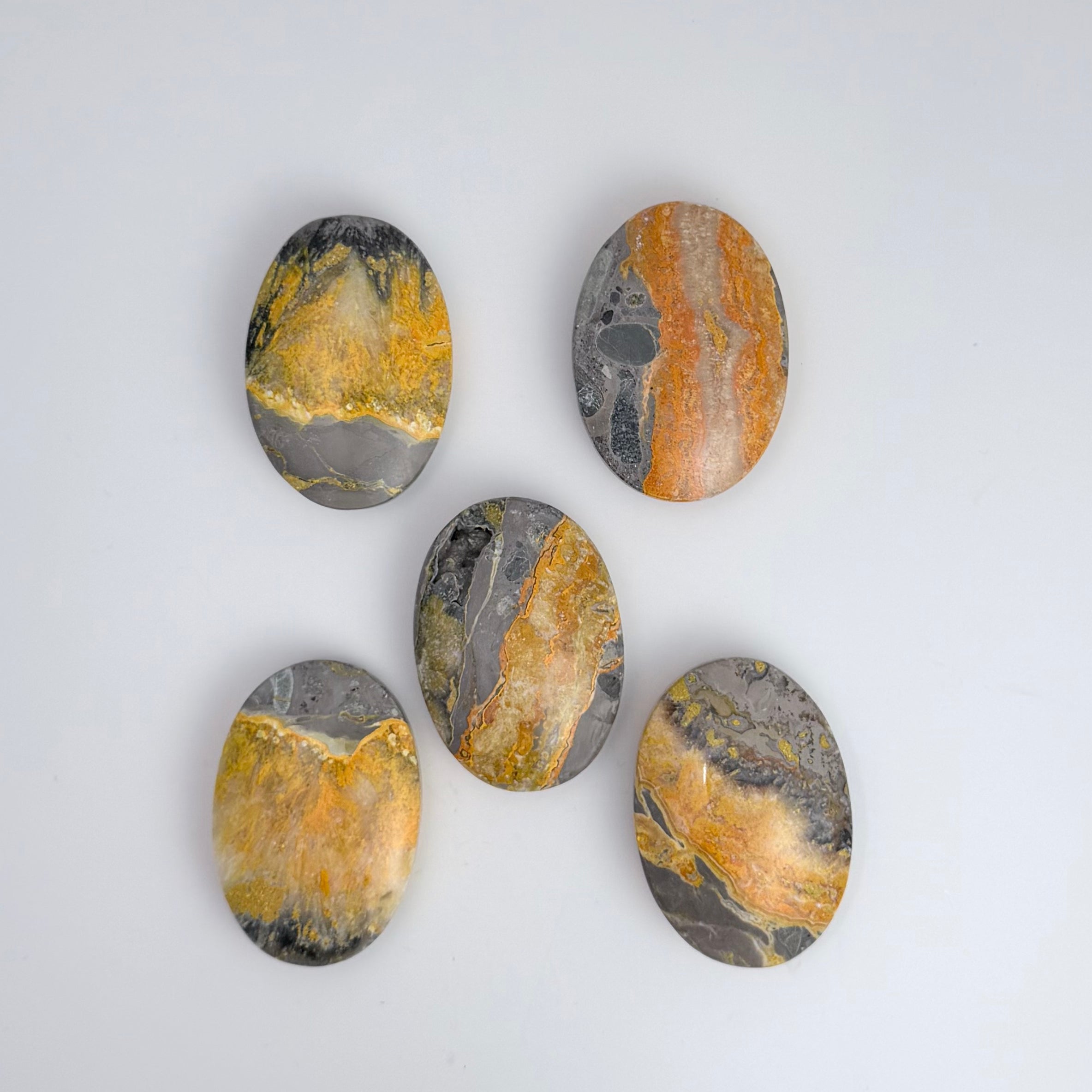 Bumble Bee Jasper