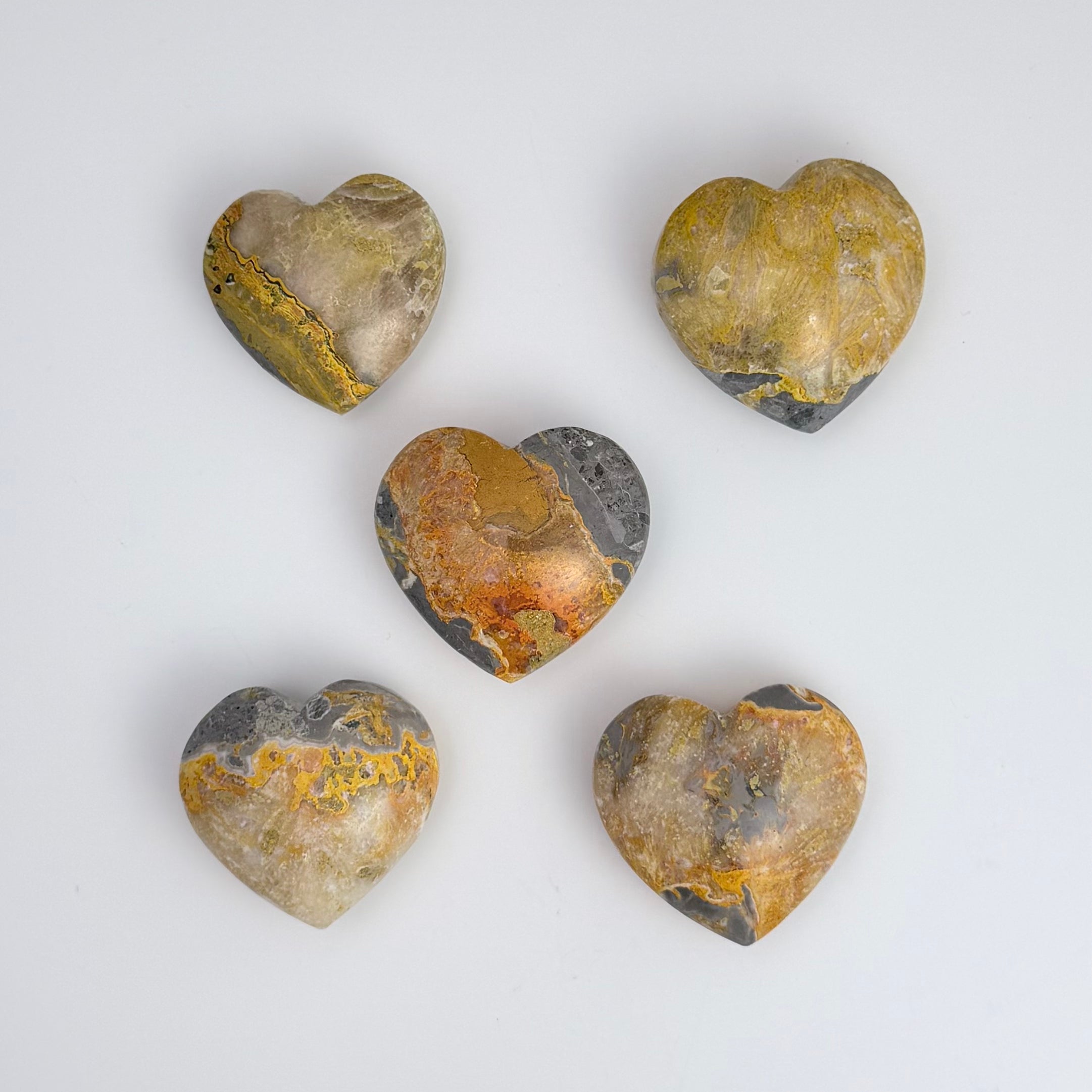 Bumble Bee Jasper