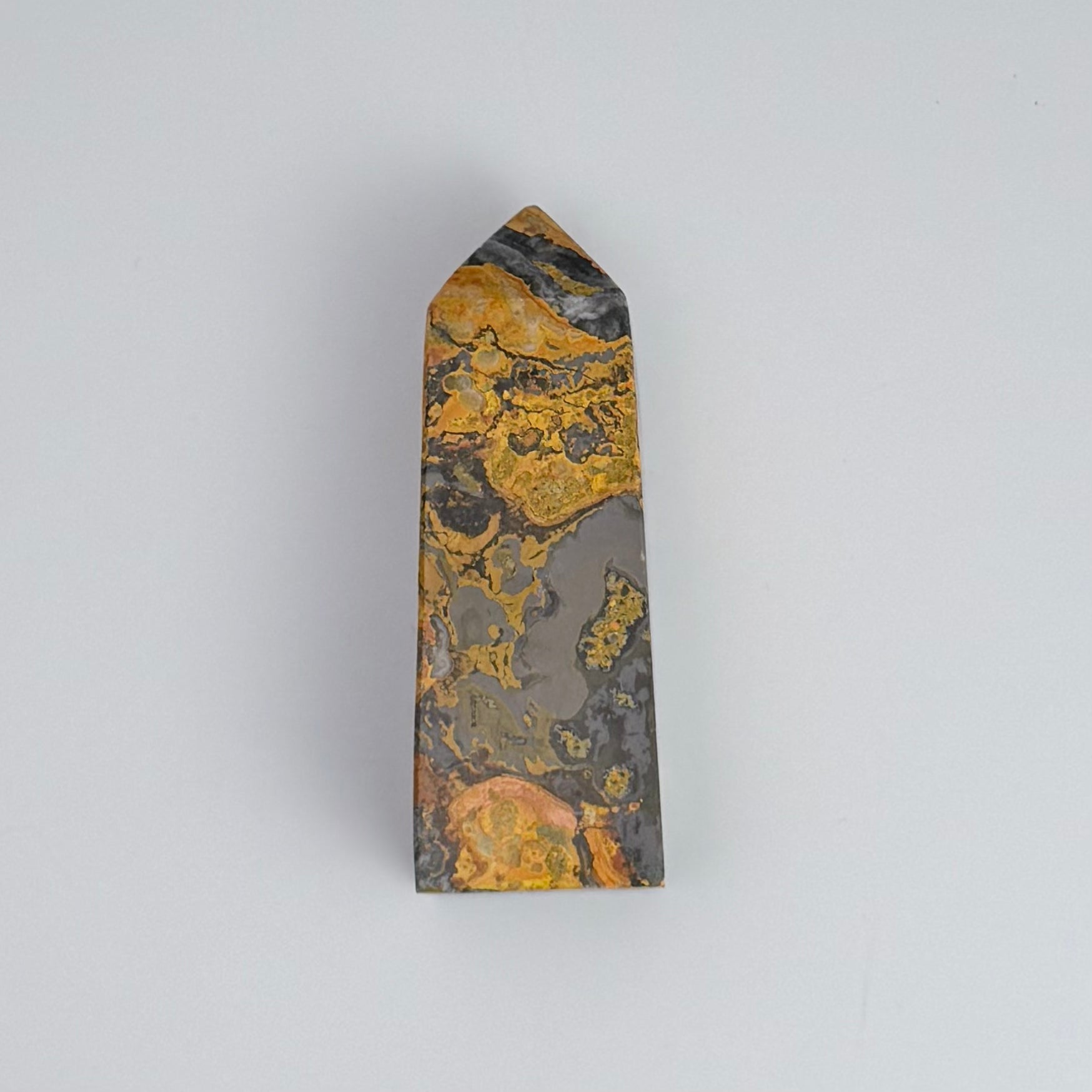 Bumble Bee Jasper