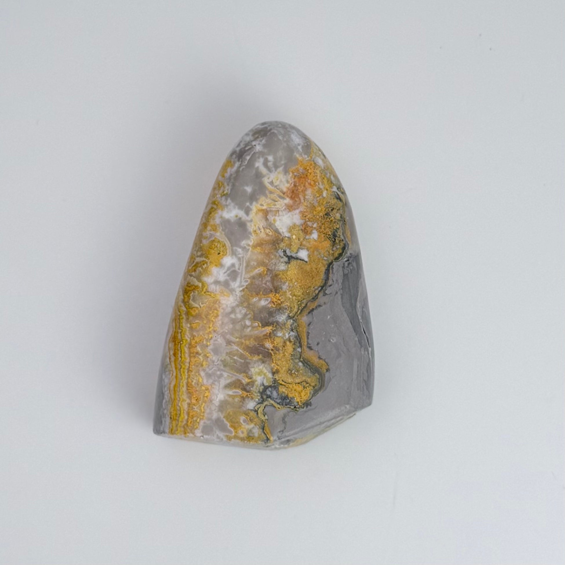 Bumble Bee Jasper