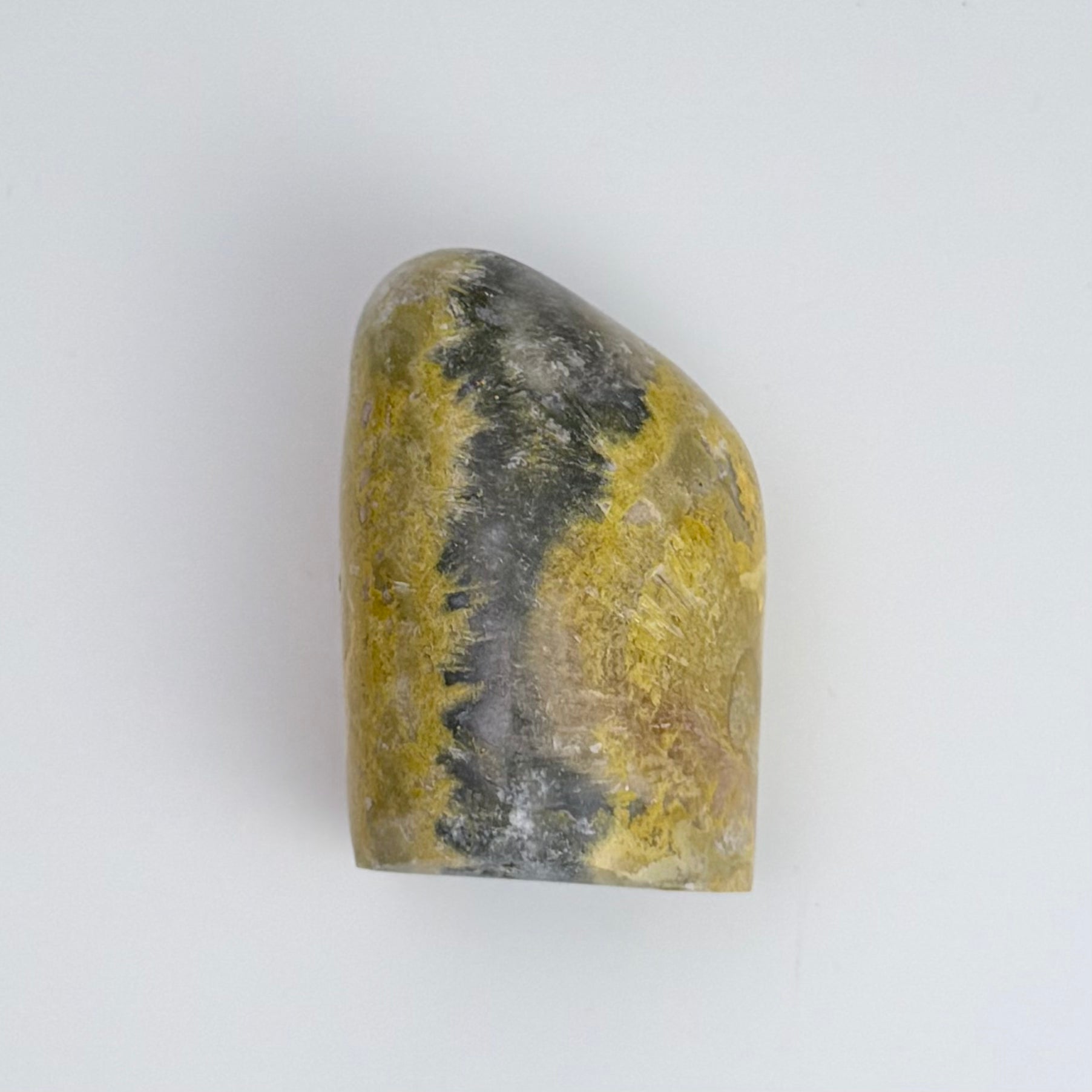 Bumble Bee Jasper