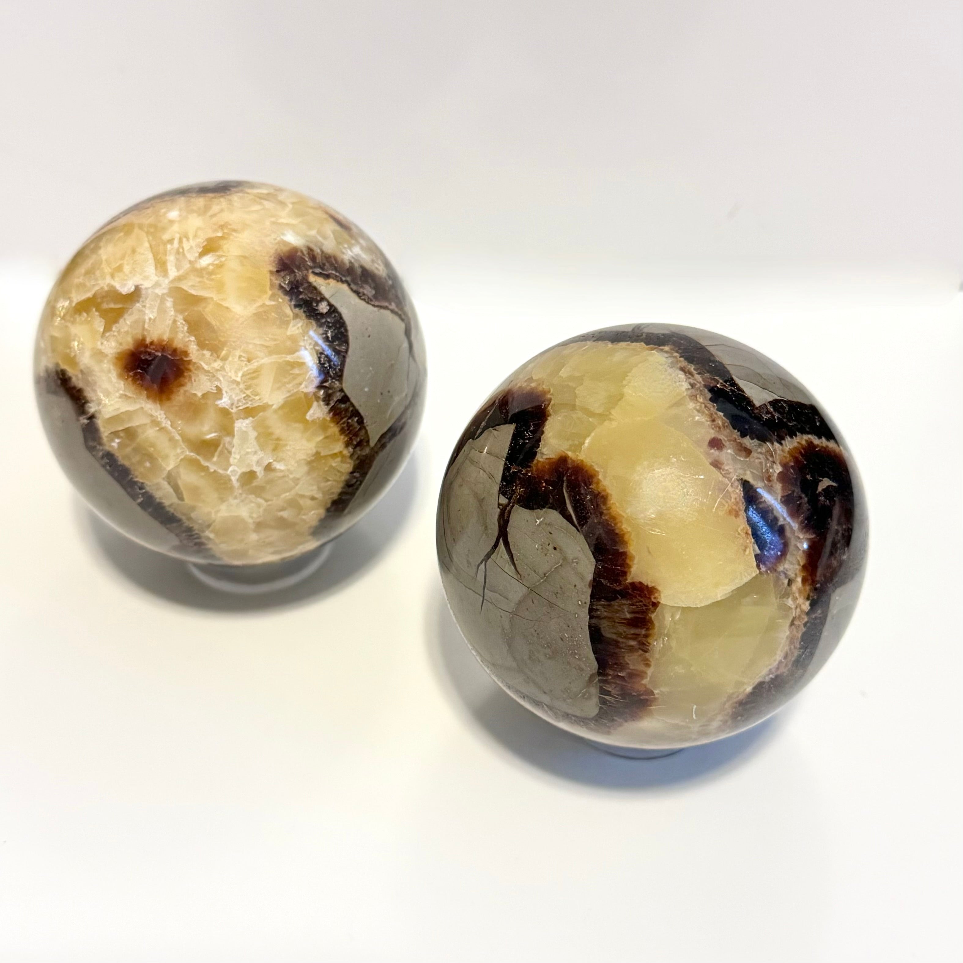 Septarian